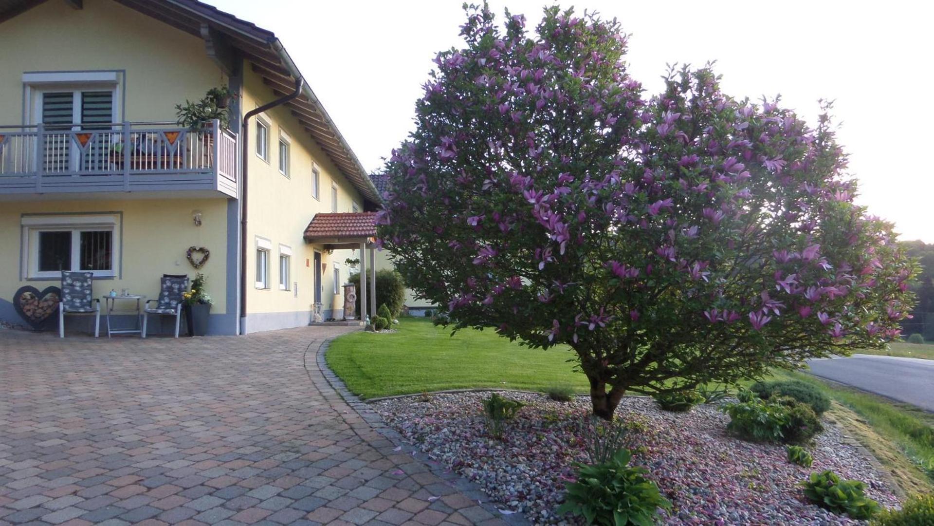 Fw & Fh Luesselfeld Apartment Zwiesel Exterior foto